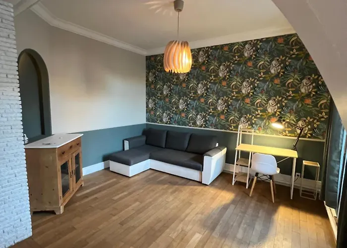 Διαμέρισμα T2 Cosy - Hypercentre Βαλένς